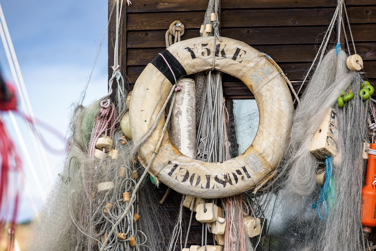 兔子ip实名账号:详情下载教程随话app