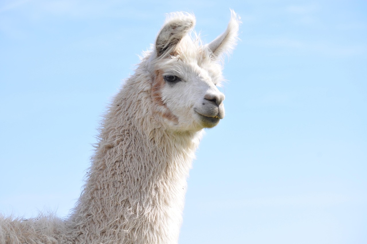 二战风云：香港注册代理公司推荐信