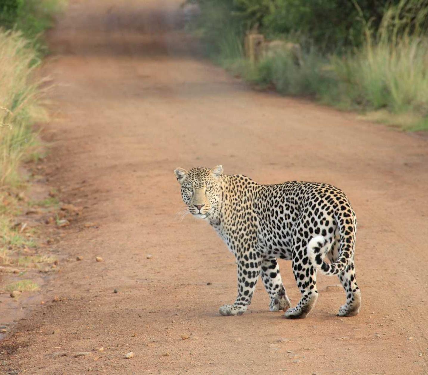 如何找到相关网站以增加链接
