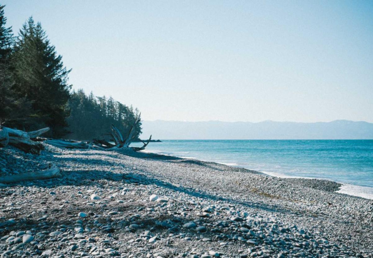 已实名账号：健康中山app详情下载教程