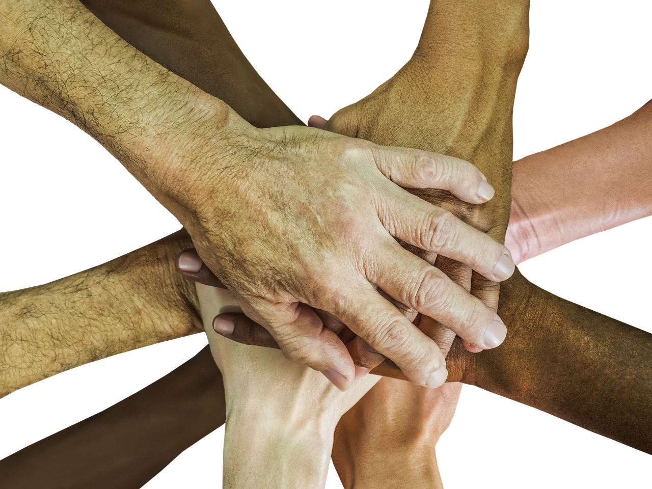 Peel百乐柚茶双爆珠（细）：公司注册代理单价