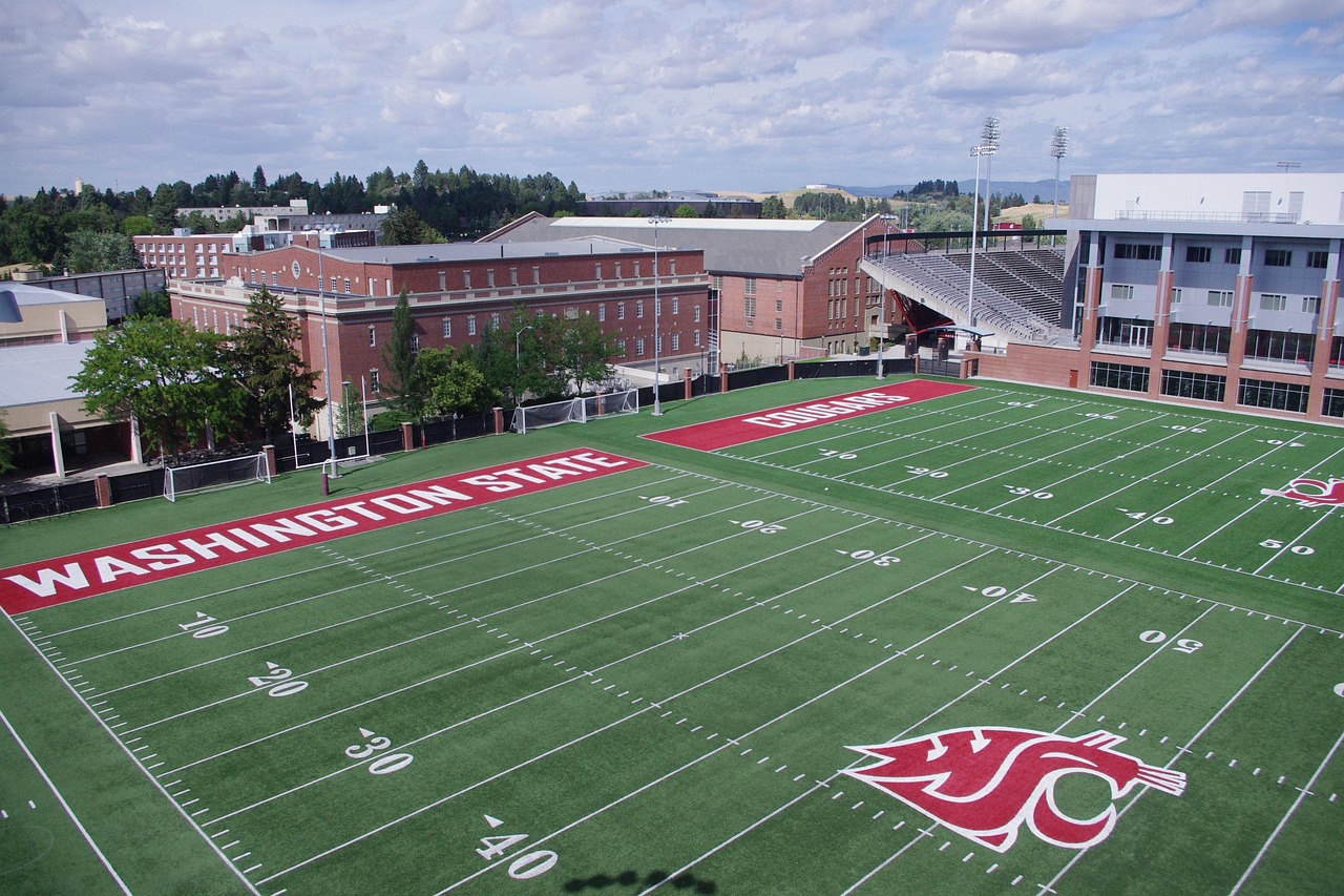 搜狐实名账号：娃娃抓娃娃app详情下载教程