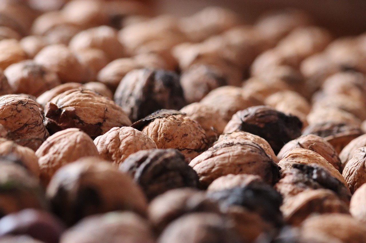 兔子ip实名账号：东阳本地注册代理公司