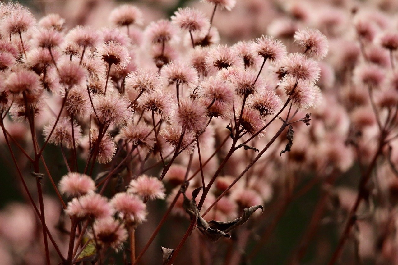 一品天下龙湾注册代理记账计划