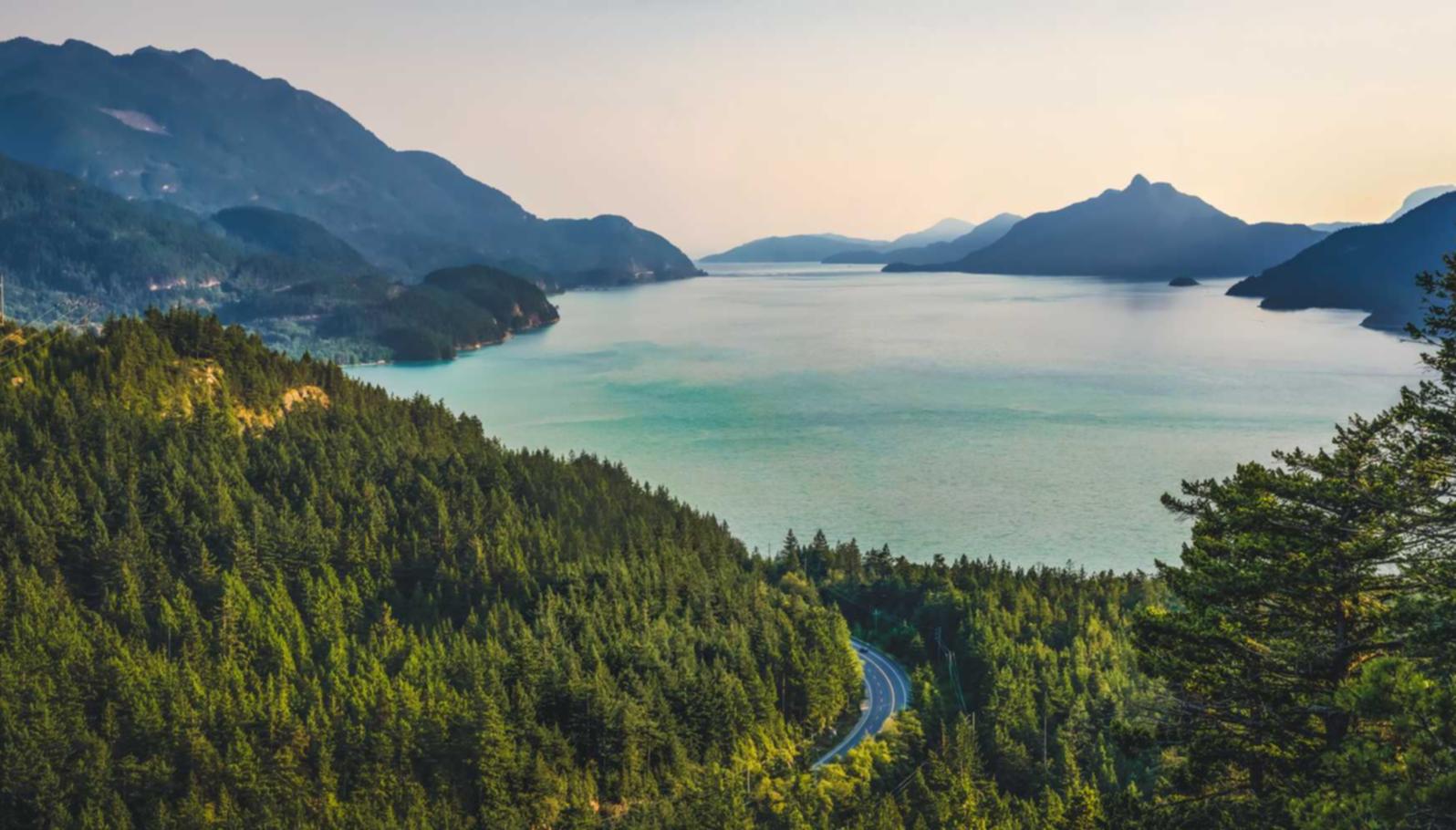 武汉招标代理平台